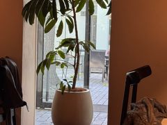 -自如ZSPACE四合院艺术餐厅