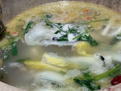 -七采菌园·野生菌石锅鱼(环城北路店)