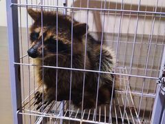 -平行世界·猫咖(首经贸店)