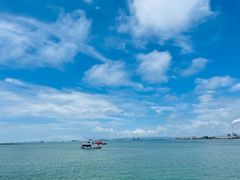 -霞涌市场海鲜摆卖区