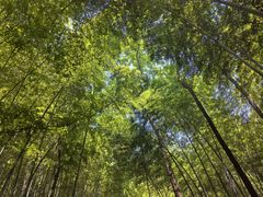 -敬亭山风景名胜区