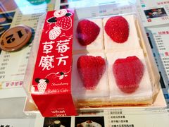 -津乐园(佳荣里店)