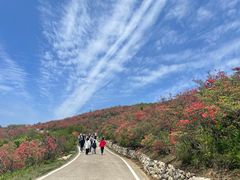 -永州阳明山国家森林公园