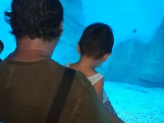 -泉城欧乐堡海洋极地世界