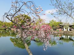 -无锡蠡湖国家湿地公园-蠡园