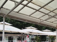 -芭厘农庄老字号·清远鸡