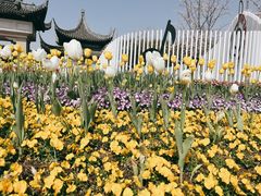 -苏州上方山国家森林公园