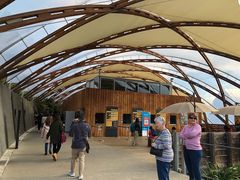 -怀托摩萤火虫洞