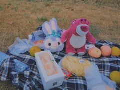 -艾溪湖湿地公园