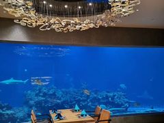 -涛·海底餐厅·美人鱼·自助餐·海底隧道(三亚海棠湾洲际度假酒店)