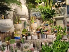 -循礼门鲜花花市(武汉循礼门店)