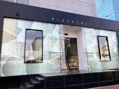 门面-BLACKSWAN黑天鹅(环球店)