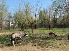-大连森林动物园