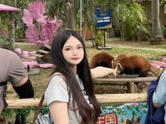 -灵玲国际马戏城
