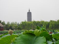 -西海子公园