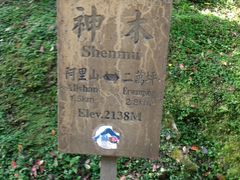 导游图-阿里山神木遗迹