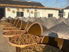 -苏州市吴中区光福窑上花果蜜饯厂