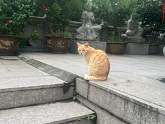 -开元寺