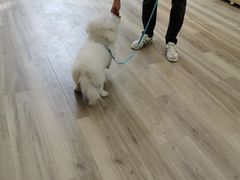-萌小它宠物健康管理中心(怡海家园店)