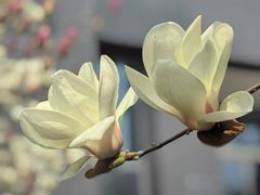 -南京工程学院(江宁校区)