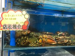 -蚝专家(北滘店)