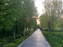 -昆山城市生态森林公园