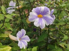 -福田红树林生态公园