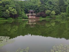 -岳麓山风景名胜区