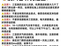 -虎婆冷饮店·海南特色炒冰(三亚湾店)