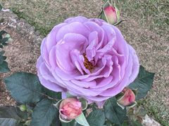 -人民公园(罗湖区)