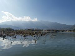 -大理洱源西湖景区