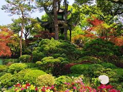-浙江西子宾馆·牡丹厅