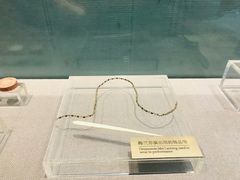 -梅园