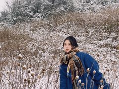 -武陵山森林公园