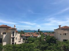-广东惠东海龟国家级自然保护区