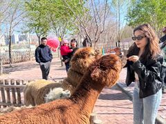 -水上乐园·欢乐世界