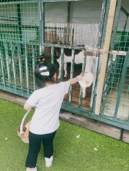 点击看大图 -小蜜蜂农场(凯德七宝购物广场店)