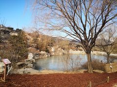 -北京西山国家森林公园