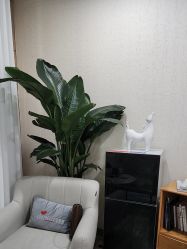-重庆联合丽格美容医院
