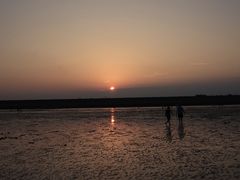 -南汇嘴观海公园