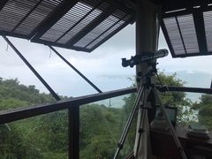 -三亚亚龙湾人间天堂鸟巢度假村