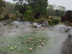 -东莞植物园