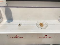 -北京科学中心儿童乐园