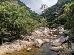 -海南热带雨林国家公园吊罗山景区