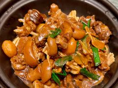 红焖羊肉煲-金塘胜宴(石湾店)