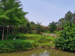 -泉州海丝野生动物世界