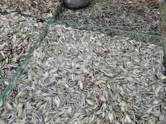 -栗粒香(贵阳路总店)