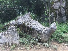 -山王坪喀斯特国家生态公园