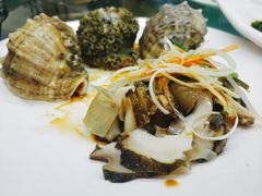 油爆海螺片-京秀缘蒸汽海鲜农家菜大馅蒸饺