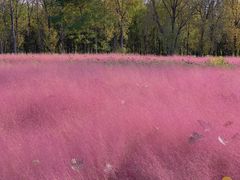 -汉长安城未央宫国家考古遗址公园